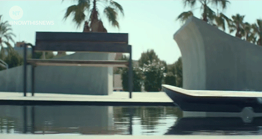 giphy-1.gif